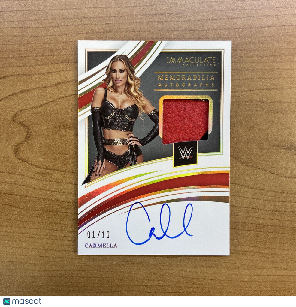 カルロ アンチェロッティ Panini Immaculate オンカード サイン カルロ アンチェロッティ Panini Immaculate オンカード サイン